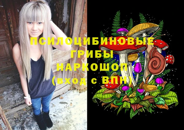 молекула духа Володарск