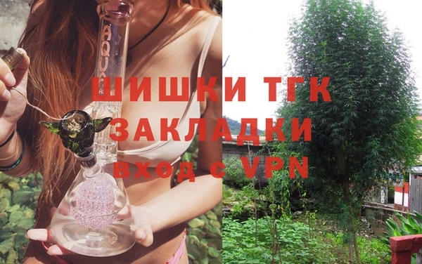 стаф Волосово
